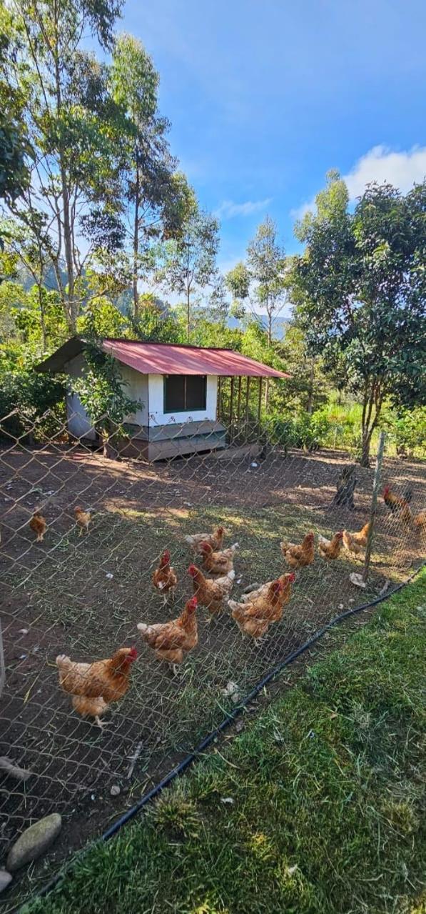 Hassinger Ranch Cabanas Oxapampa Εξωτερικό φωτογραφία